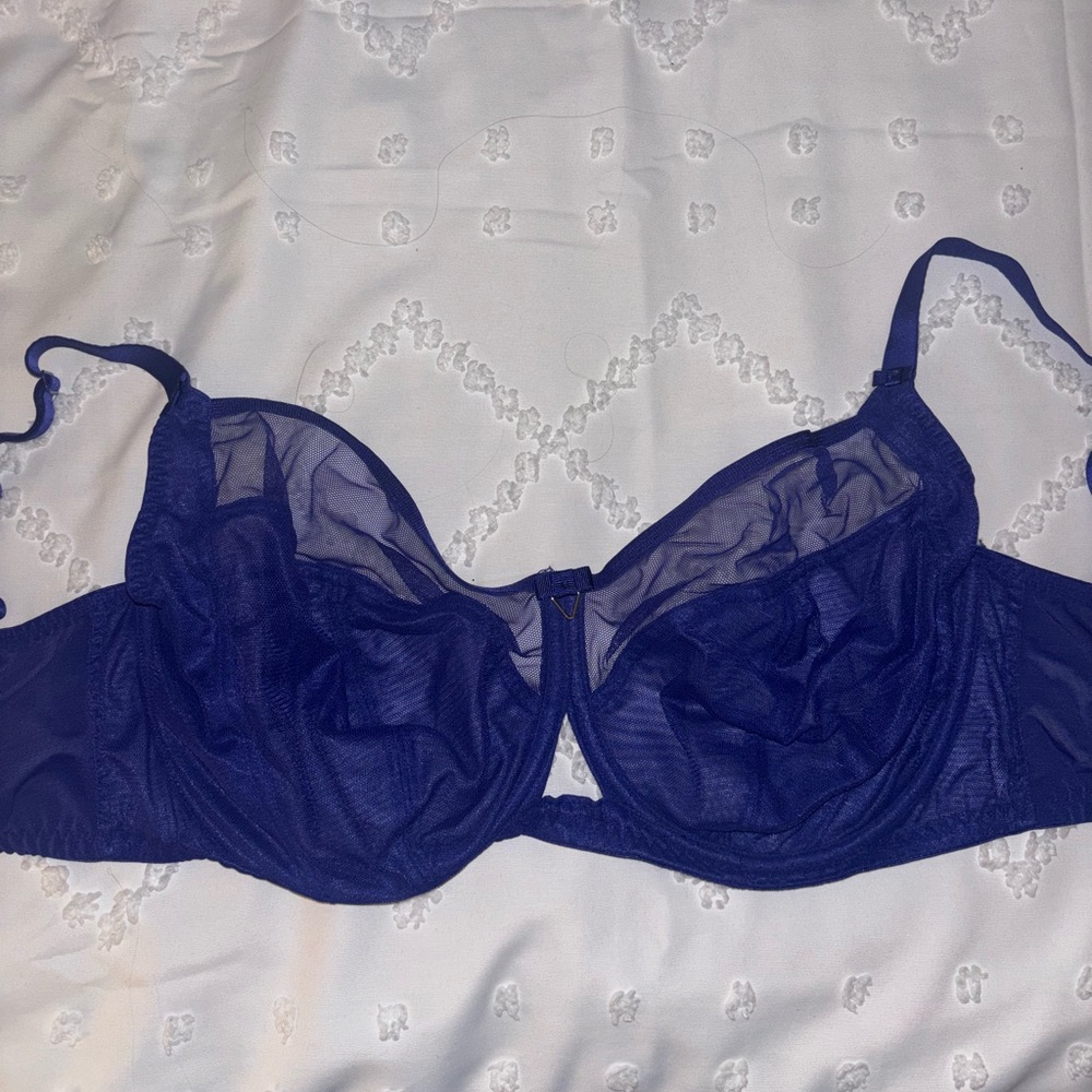 Elegant Blue Sheer Bra